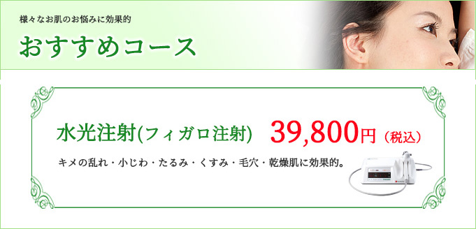 早期クリスマスおすすめコース