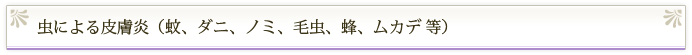 虫による皮膚炎